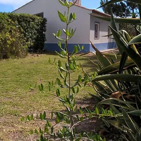 Casa Da Samouqueira * Rogil