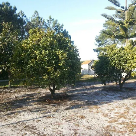 Holiday home Casa Da Samouqueira